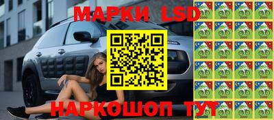 молекула духа Бердск