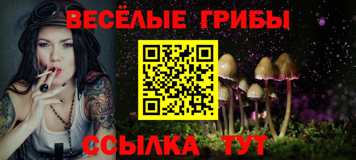 Ахтубинск  Псилоцибиновые грибы мицелий  Вход с VPN  Псилоцибиновые грибы ЛСД 